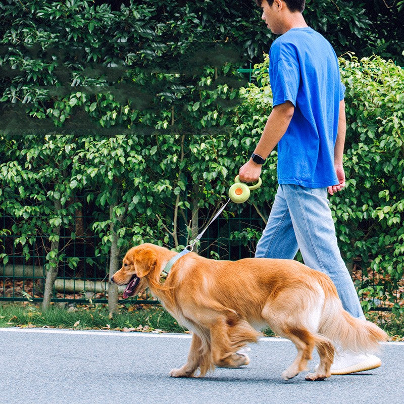 "The Donut" | Retractible Pet Leash