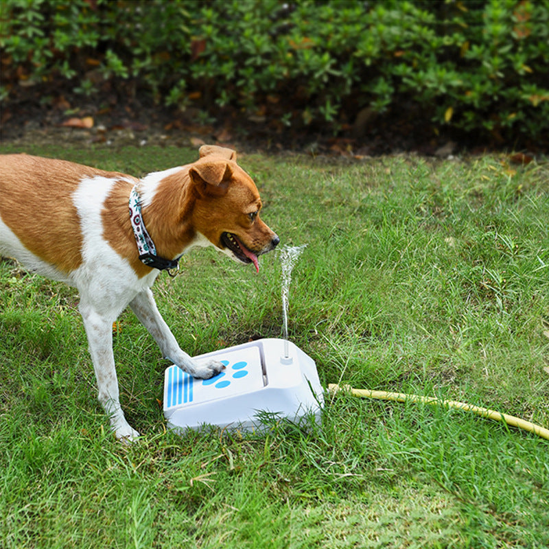 The Pup PAD™ | Intellectual Dog Water Trainer